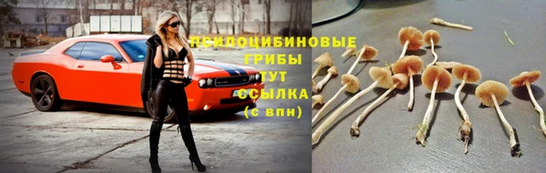 кокаин перу Алзамай