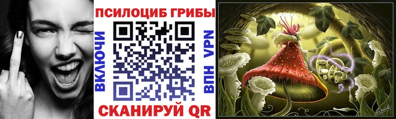 Галлюциногенные грибы Psilocybe  mega зеркало  Орск  магазин продажи  