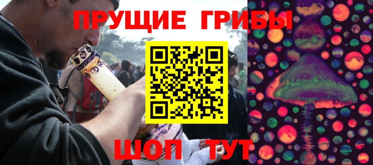 Галлюциногенные грибы Psilocybe Орск