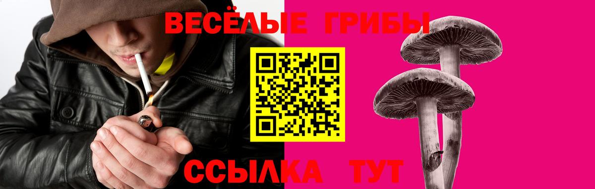 Псилоцибиновые грибы Psilocybine cubensis  Вход с VPN  Орск  Псилоцибиновые грибы MAGIC MUSHROOMS 